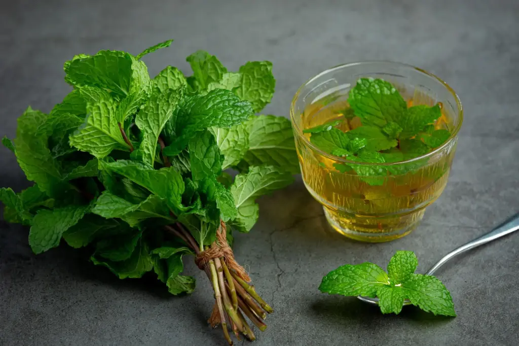 the-a-la-menthe-poivree-en-verre-pret-a-boire.webp