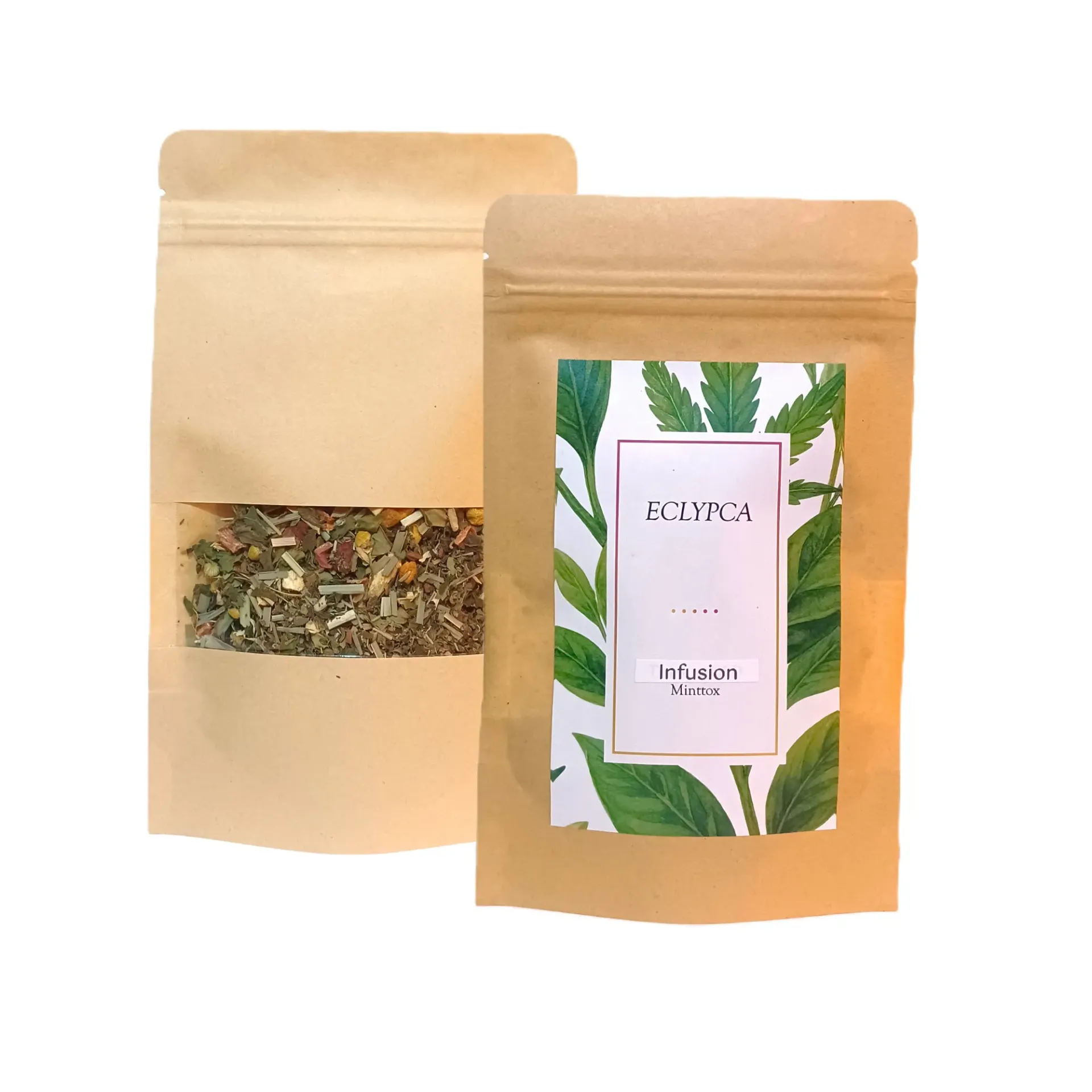Infusion Minttox